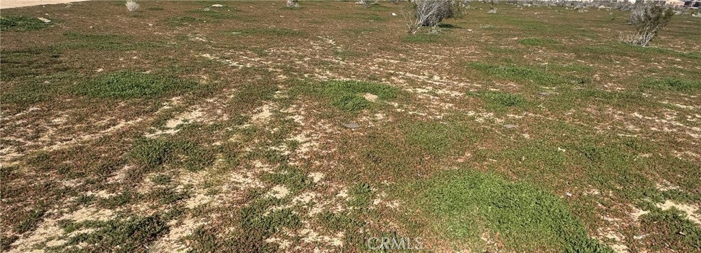 Photo of Listing #HD26011879