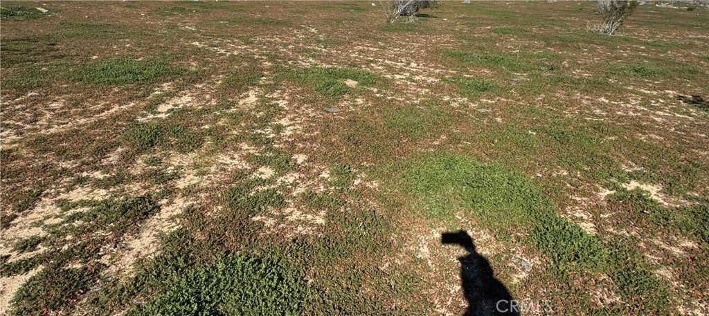 Photo of Listing #HD26011891