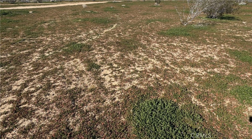 Photo of Listing #HD26011895