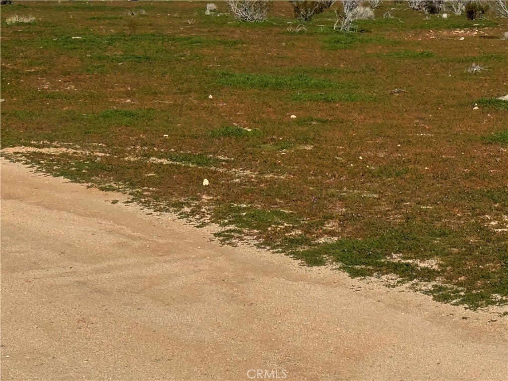 Photo of Listing #HD26011901