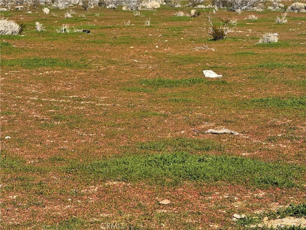 Photo of Listing #HD26011909