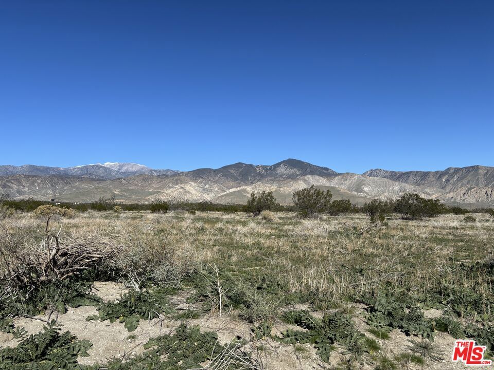 Photo of Listing #26639549