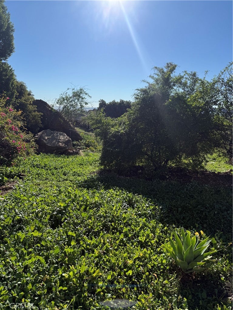 Photo of Listing #SR26012084