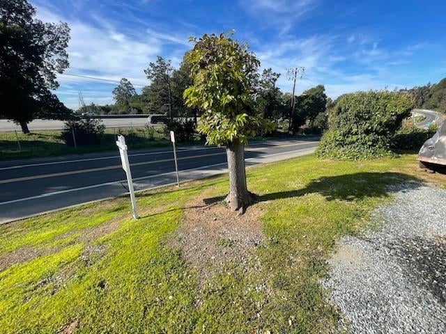 Photo of Listing #41121275