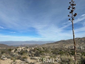 Photo of Listing #SW26002267