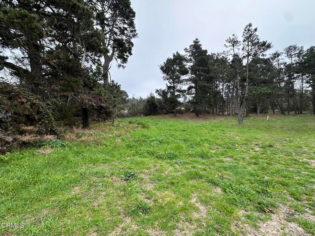 Photo of Listing #C1-11235