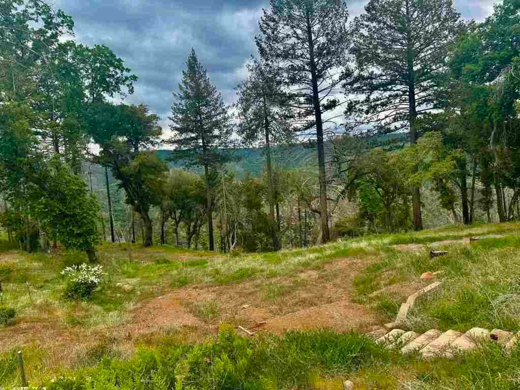 Photo of Listing #41121314