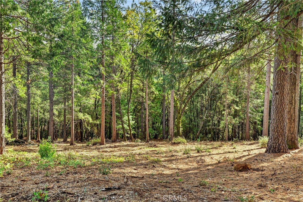 Photo of Listing #SN26009084