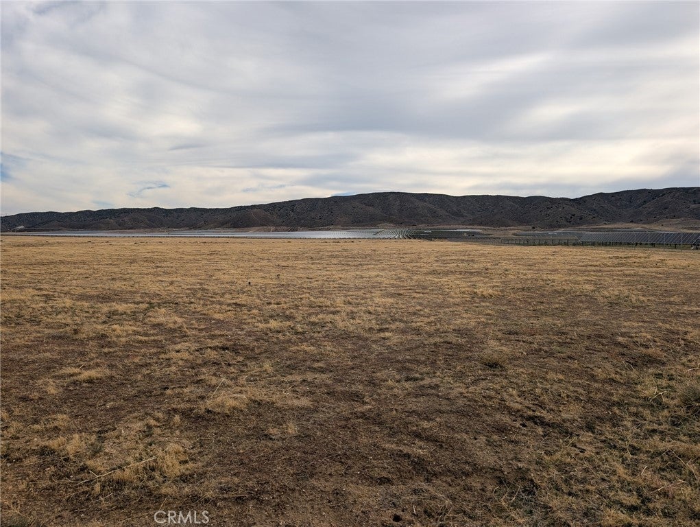 Photo of Listing #SR25260474