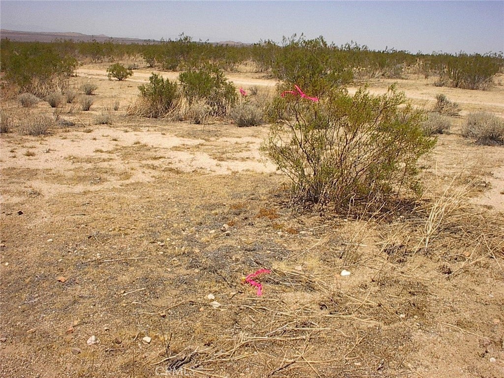 Photo of Listing #CV26002102