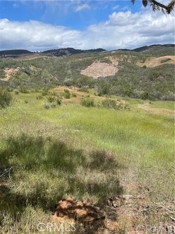 Photo of Listing #LC26016319