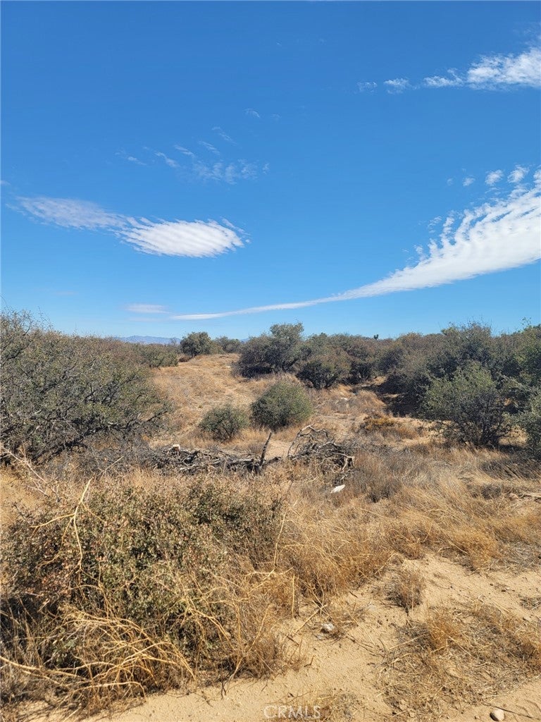 Photo of Listing #HD26017644