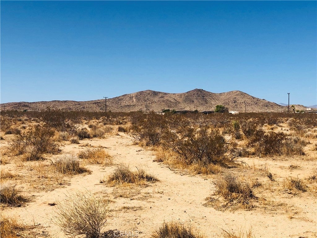 Photo of Listing #JT26017865