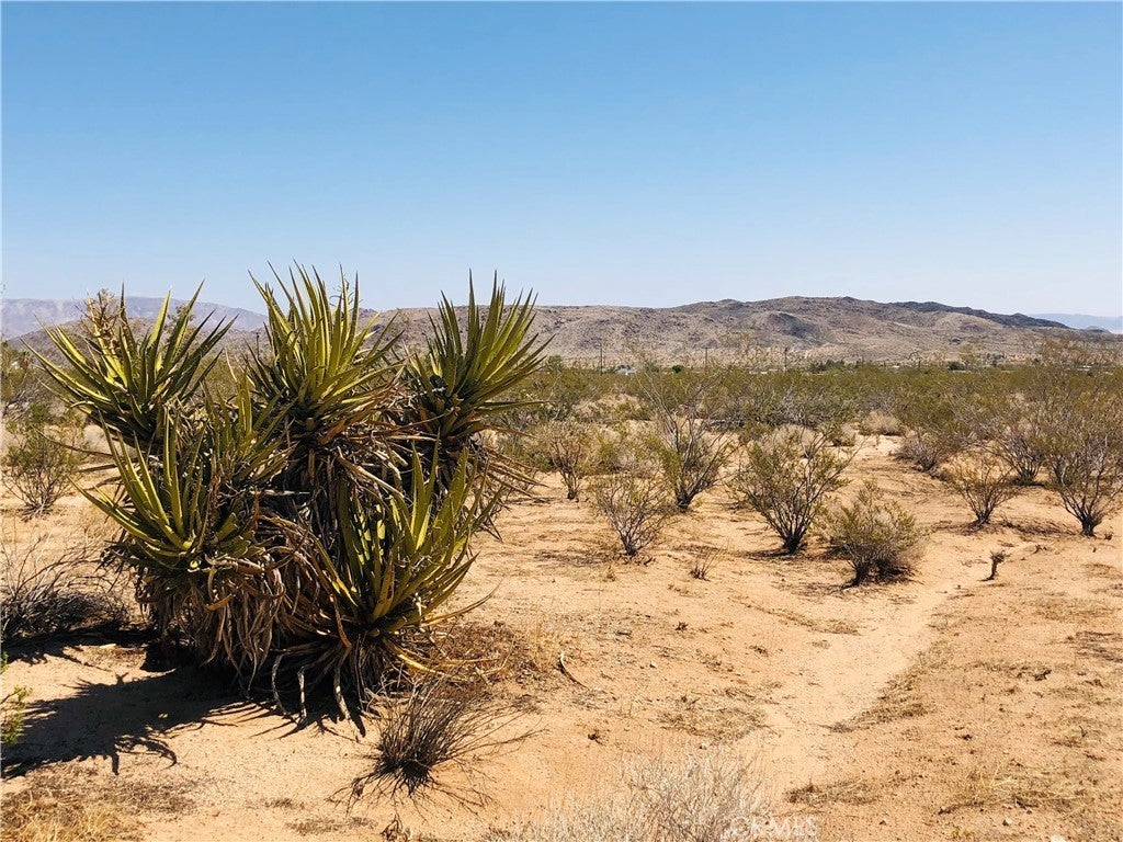 Photo of Listing #JT26017878