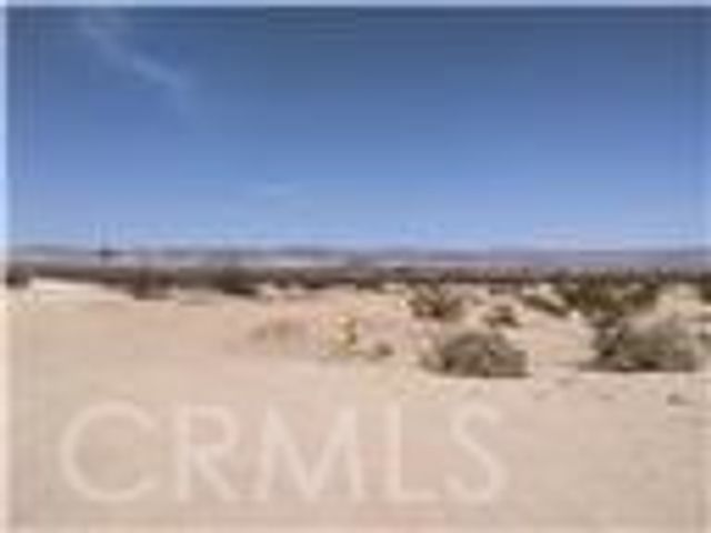 None, 29 Palms