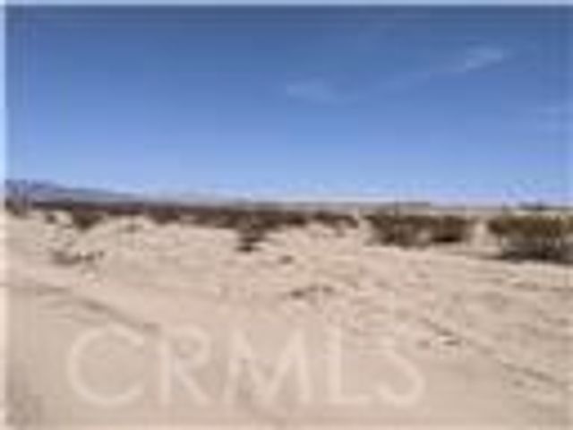 None, 29 Palms