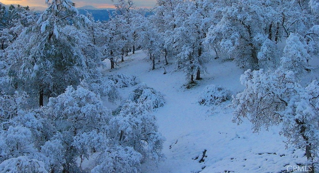 Photo of Listing #SW26019996