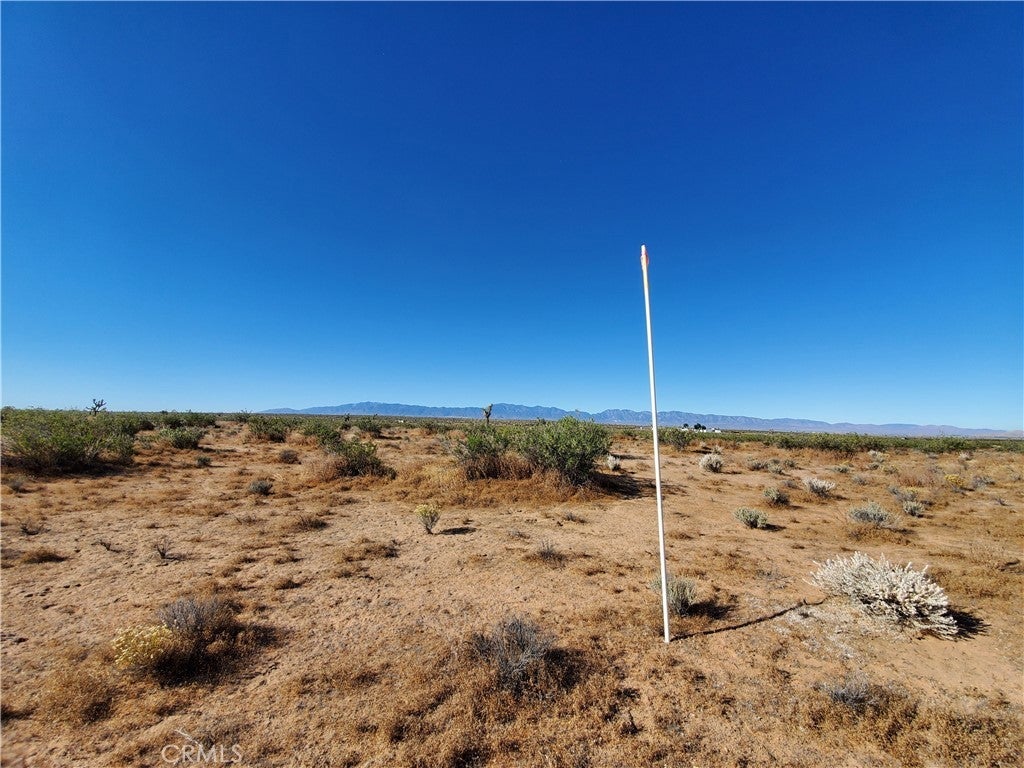 Photo of Listing #HD26020640