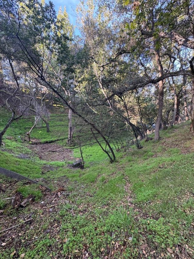 Parrott Drive, San Mateo