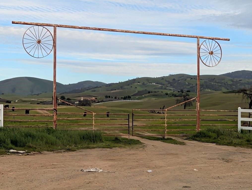 Photo of Listing #41122376