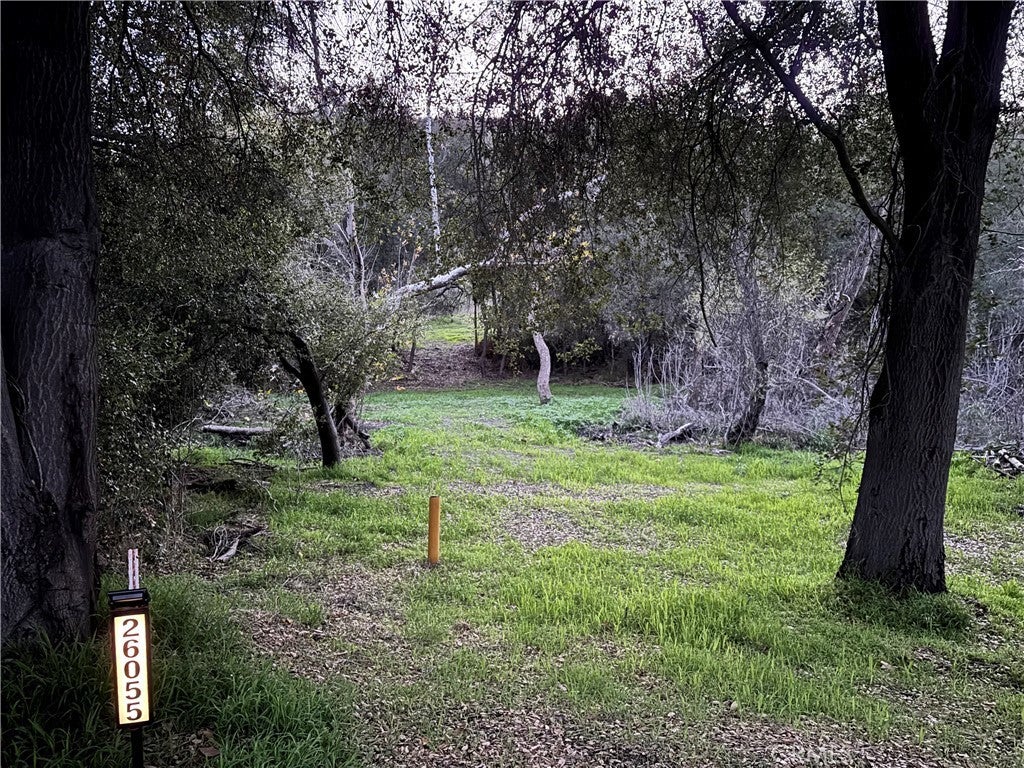 Photo of Listing #TR26020411