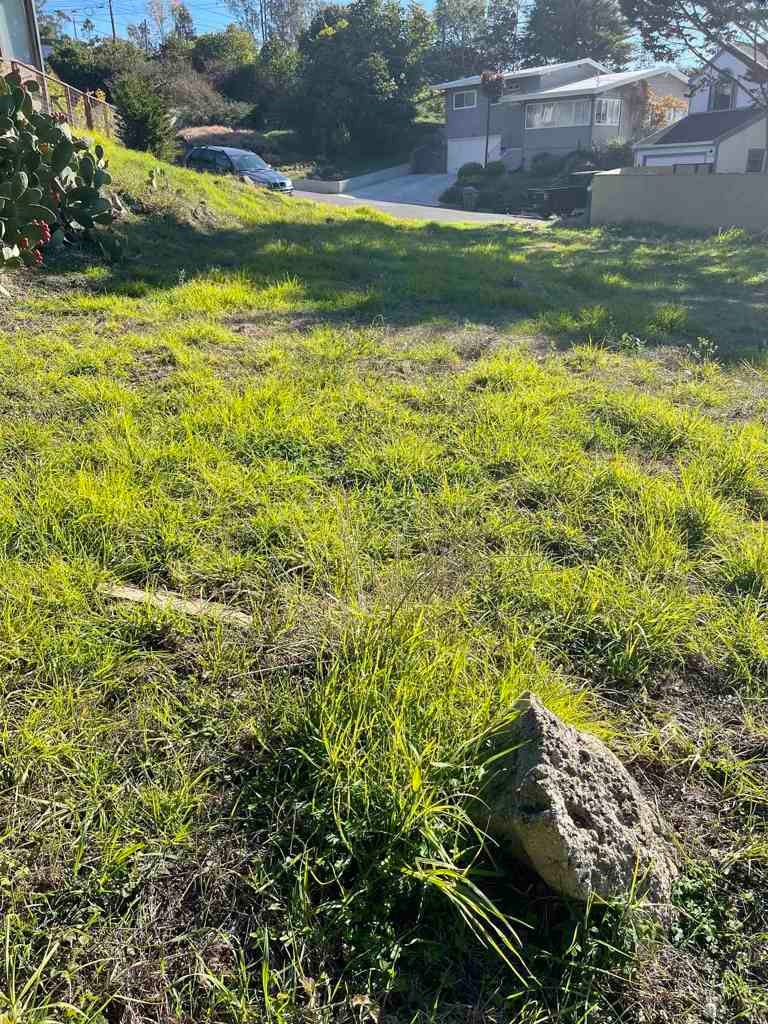 Photo of Listing #41122469