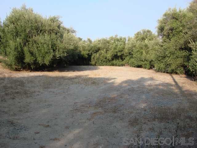 1252 Navel Place, Vista