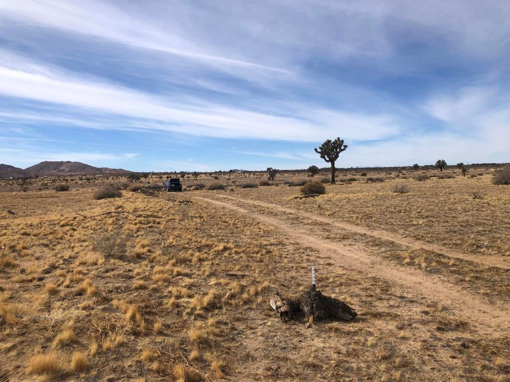 Photo of Listing #219142370DA