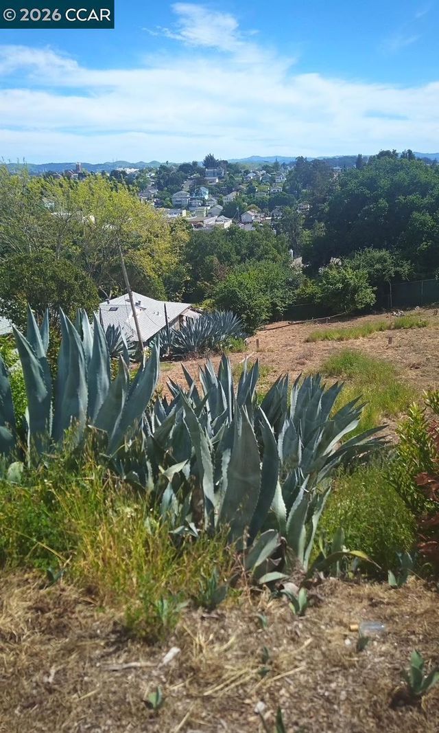 Hitchborn, Vallejo