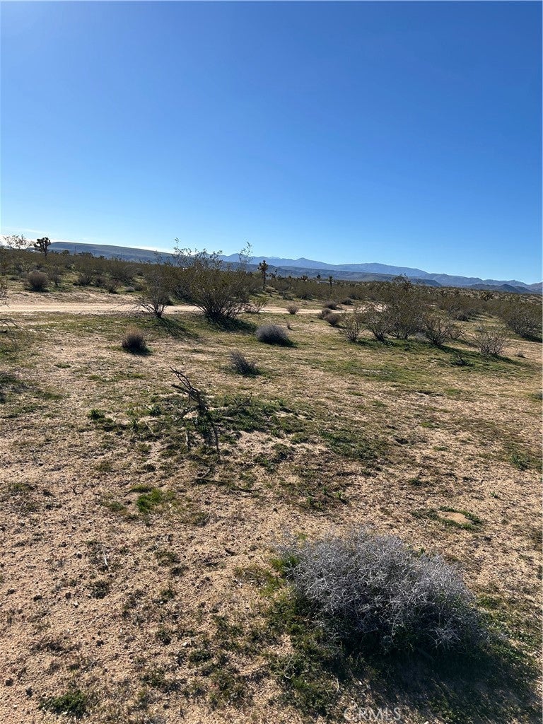 Photo of Listing #HD26022221