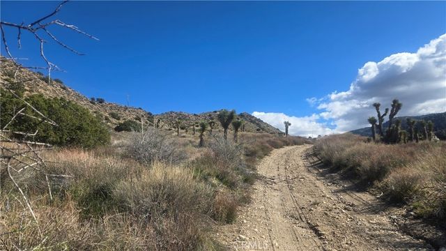Pinon Road To Mescal Highlands, Llano