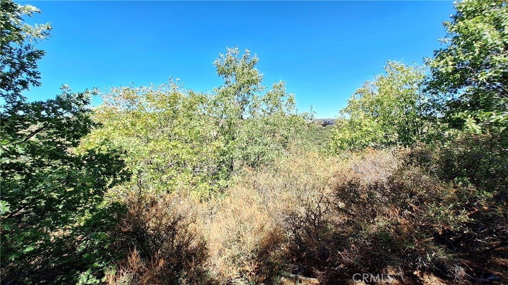 Photo of Listing #IV26022342