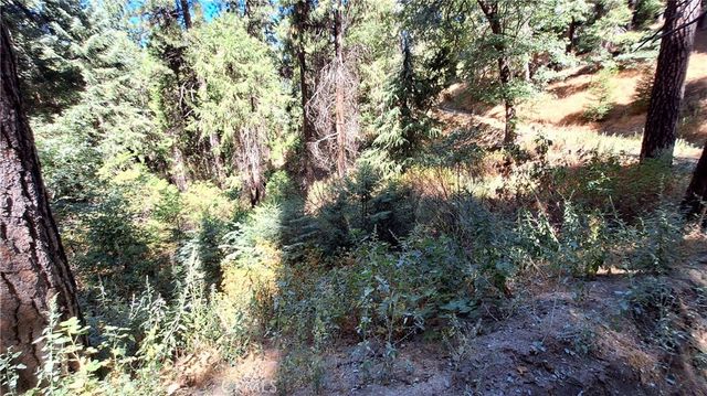 El Valle, Cedarpines Park