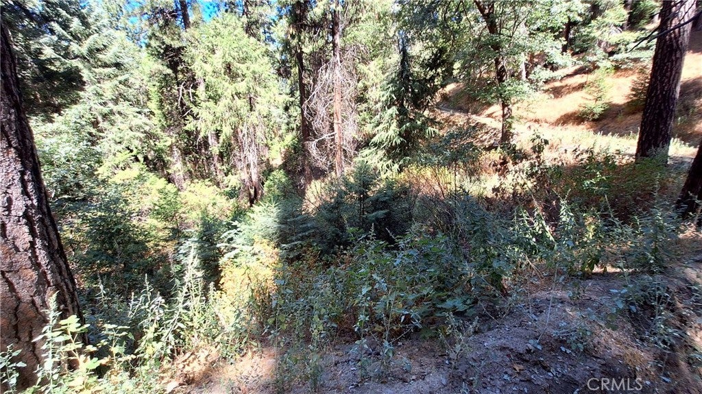 Photo of Listing #IV26022377