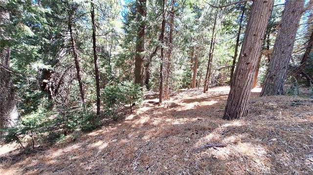 Cedar Pines, Cedarpines Park