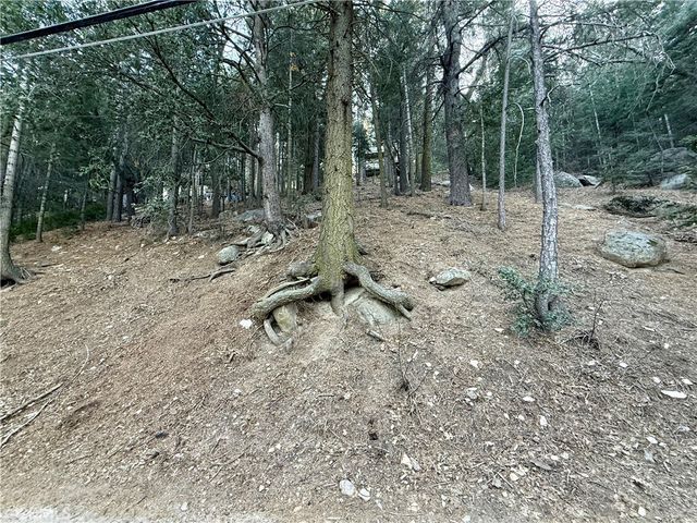Scenic View, Crestline