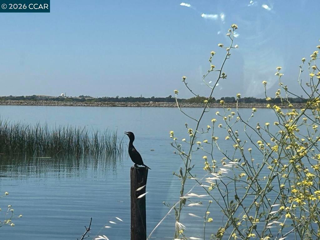 Photo of Listing #41122634