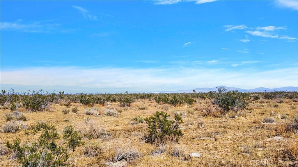 Photo of Listing #HD26022682