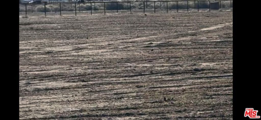 Photo of Listing #26645883