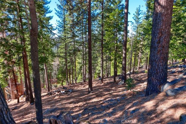 7349 & 7473 Yosemite Park Way, Yosemite