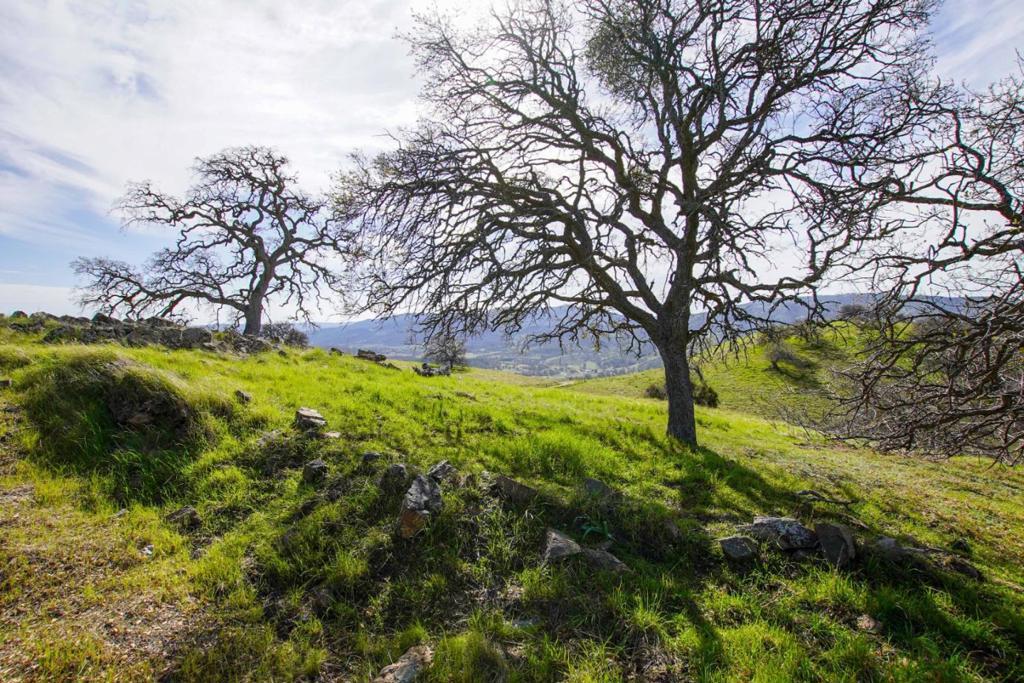 Photo of Listing #ML82033364