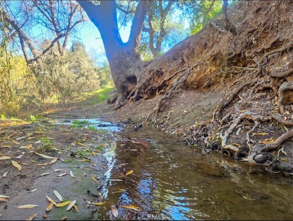 Photo of Listing #SW26023786