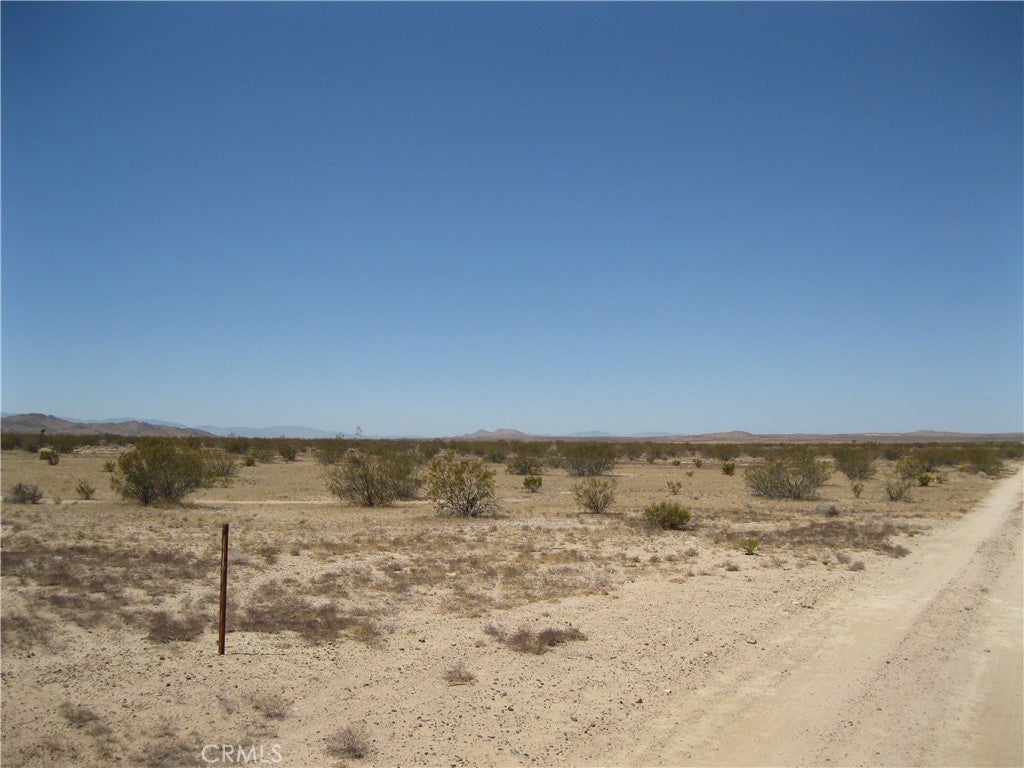 Photo of Listing #IV26024153