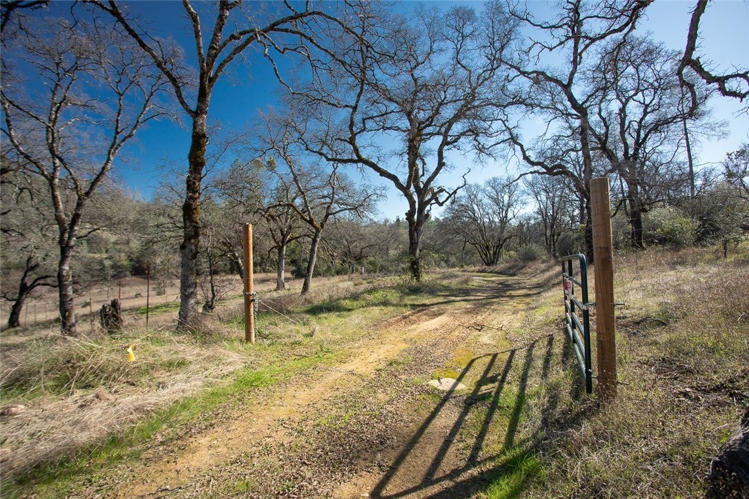 Photo of Listing #OR26026410