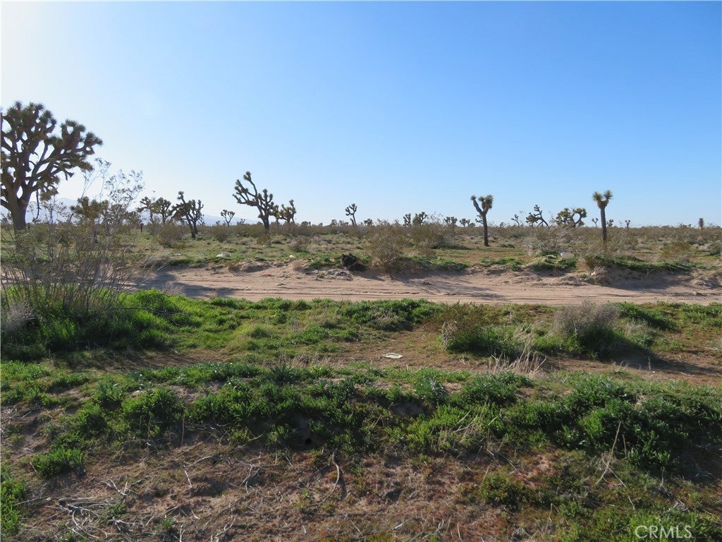 Photo of Listing #OC26023858