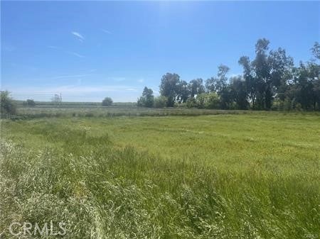 Photo of Listing #MC26026589