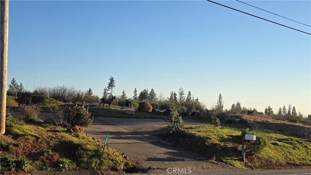 Photo of Listing #SN26026743