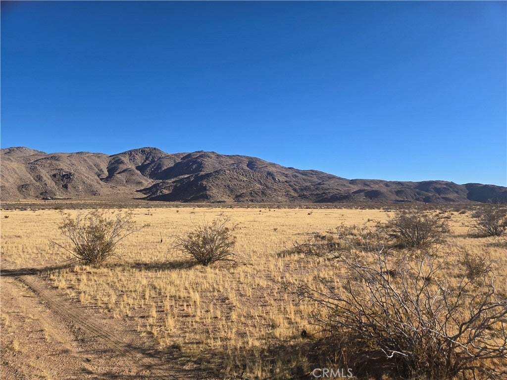 Photo of Listing #HD26026259