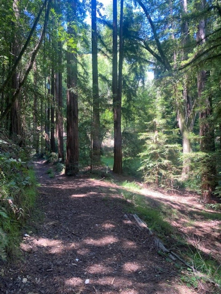 Photo of Listing #41123085