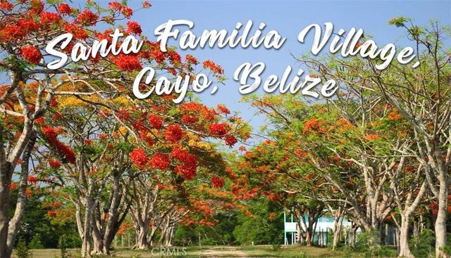 Santa Familia Belize, Other